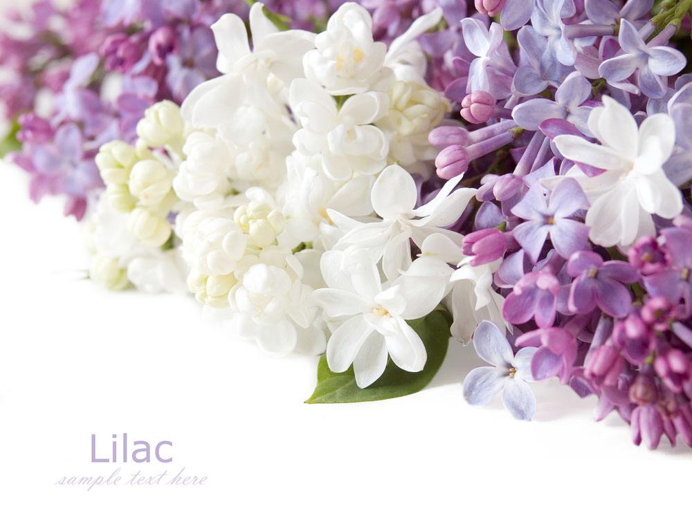 喜訊！2017七夕節(jié)的一份中標(biāo)通知書