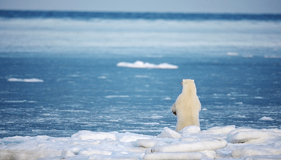 未來50年能源系統(tǒng)格局將大變，江蘇江河順應(yīng)時(shí)局，生態(tài)發(fā)展！